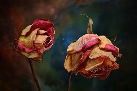 đối diện với hiểu lầm