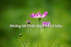 lời phật dạy về hiếu thảo