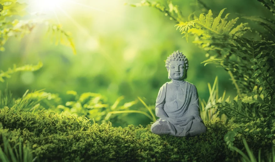 Phật dạy về sự an nhiên