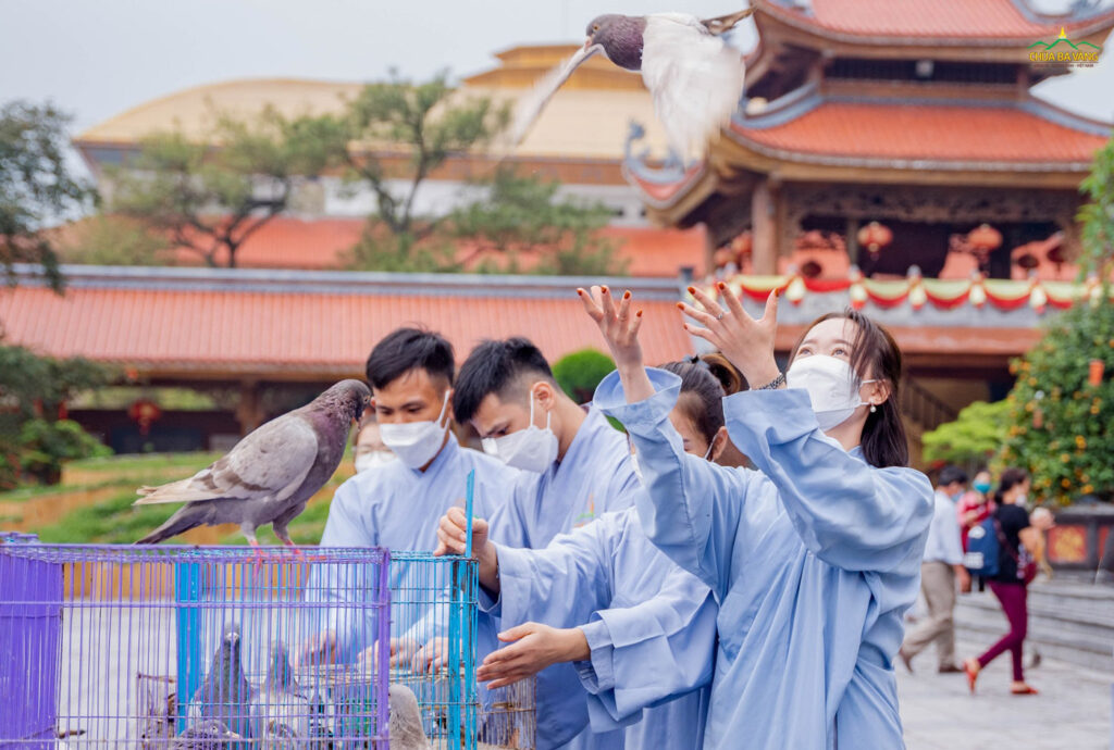 Văn khấn cúng phóng sinh chim
